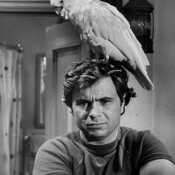 Robert Blake