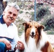 Hollywood Dog Trainer