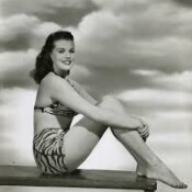 Please Don't Eat the Daisies